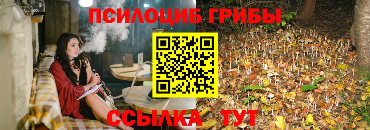 Псилоцибиновые грибы Magic Shrooms Чебаркуль