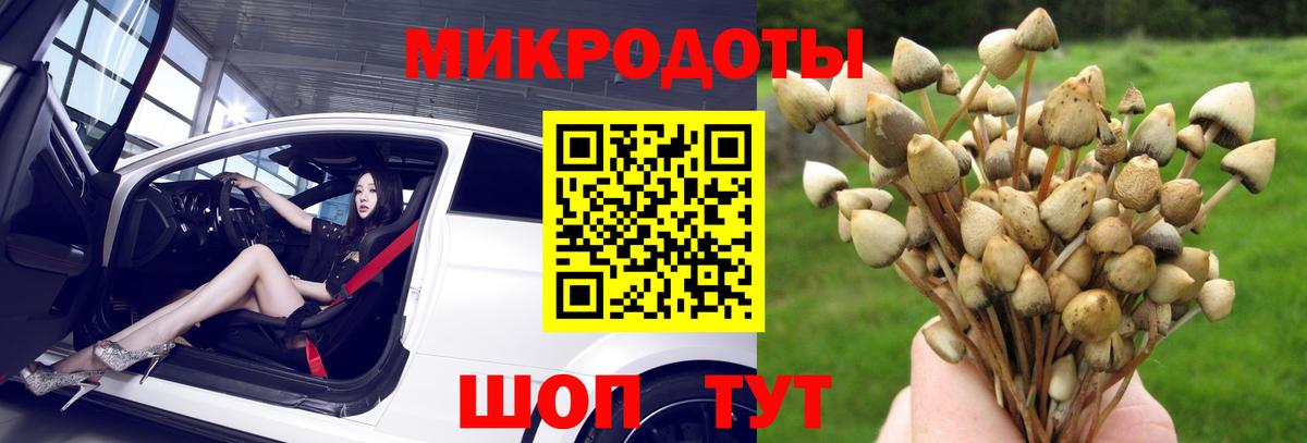 Псилоцибиновые грибы мицелий  Псилоцибиновые грибы мицелий  Чебаркуль  Вход с VPN 